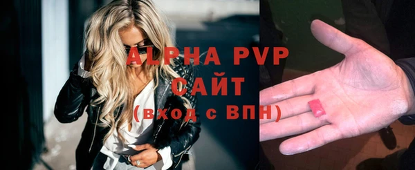 гашик Заволжск